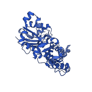 4259_6fhl_A_v1-1
Cryo-EM structure of F-actin in complex with ADP-Pi
