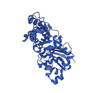 4259_6fhl_B_v1-1
Cryo-EM structure of F-actin in complex with ADP-Pi