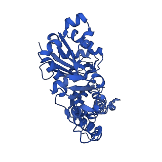 4259_6fhl_C_v1-1
Cryo-EM structure of F-actin in complex with ADP-Pi