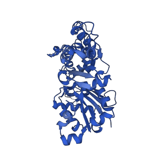 4259_6fhl_D_v1-1
Cryo-EM structure of F-actin in complex with ADP-Pi