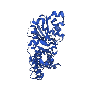 4259_6fhl_E_v1-1
Cryo-EM structure of F-actin in complex with ADP-Pi