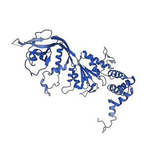 4264_6fhs_B_v1-2
CryoEM Structure of INO80core