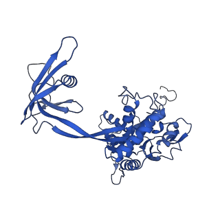 4264_6fhs_D_v1-2
CryoEM Structure of INO80core
