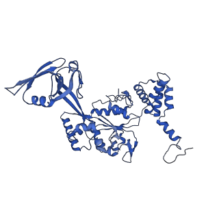4264_6fhs_F_v1-2
CryoEM Structure of INO80core