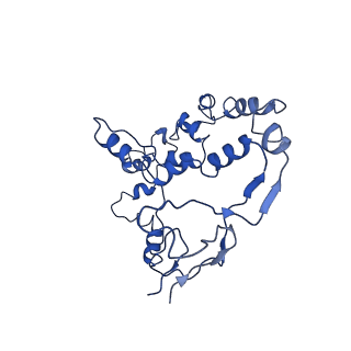 4264_6fhs_G_v1-2
CryoEM Structure of INO80core