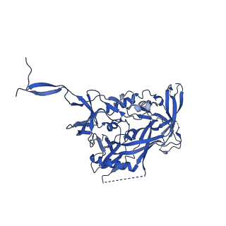 29209_8fis_F_v1-1
Structure of Bispecific CAP256V2LS-J3 Fab in complex with BG505 DS-SOSIP.664