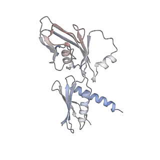 29212_8fix_A_v1-0
Cryo-EM structure of E. coli RNA polymerase backtracked elongation complex harboring a terminal mismatch