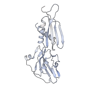 29212_8fix_B_v1-0
Cryo-EM structure of E. coli RNA polymerase backtracked elongation complex harboring a terminal mismatch