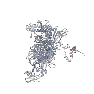 29212_8fix_C_v1-0
Cryo-EM structure of E. coli RNA polymerase backtracked elongation complex harboring a terminal mismatch