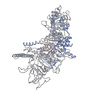 29212_8fix_D_v1-0
Cryo-EM structure of E. coli RNA polymerase backtracked elongation complex harboring a terminal mismatch