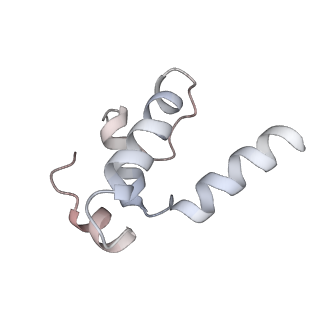 29212_8fix_E_v1-0
Cryo-EM structure of E. coli RNA polymerase backtracked elongation complex harboring a terminal mismatch