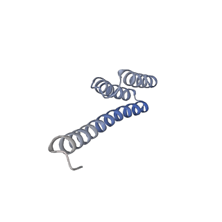 29214_8fiz_AB_v1-0
Cryo-EM structure of E. coli 70S Ribosome containing mRNA and tRNA (in the transcription-translation complex)