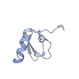 29214_8fiz_AD_v1-0
Cryo-EM structure of E. coli 70S Ribosome containing mRNA and tRNA (in the transcription-translation complex)