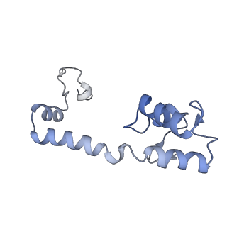 29214_8fiz_AE_v1-0
Cryo-EM structure of E. coli 70S Ribosome containing mRNA and tRNA (in the transcription-translation complex)