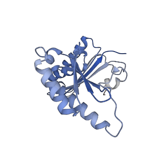 29214_8fiz_AG_v1-0
Cryo-EM structure of E. coli 70S Ribosome containing mRNA and tRNA (in the transcription-translation complex)