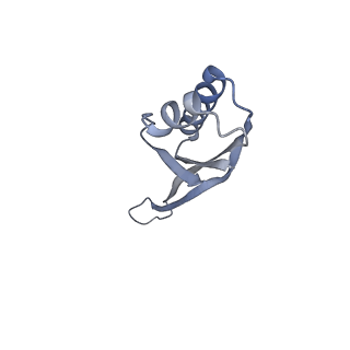 29214_8fiz_AH_v1-0
Cryo-EM structure of E. coli 70S Ribosome containing mRNA and tRNA (in the transcription-translation complex)