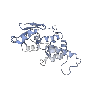 29214_8fiz_AI_v1-0
Cryo-EM structure of E. coli 70S Ribosome containing mRNA and tRNA (in the transcription-translation complex)