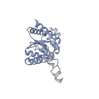 29214_8fiz_AJ_v1-0
Cryo-EM structure of E. coli 70S Ribosome containing mRNA and tRNA (in the transcription-translation complex)