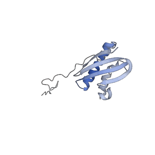 29214_8fiz_AK_v1-0
Cryo-EM structure of E. coli 70S Ribosome containing mRNA and tRNA (in the transcription-translation complex)