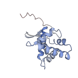 29214_8fiz_AL_v1-0
Cryo-EM structure of E. coli 70S Ribosome containing mRNA and tRNA (in the transcription-translation complex)