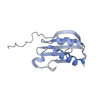 29214_8fiz_AM_v1-0
Cryo-EM structure of E. coli 70S Ribosome containing mRNA and tRNA (in the transcription-translation complex)