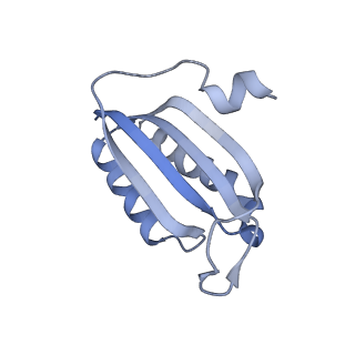 29214_8fiz_AN_v1-0
Cryo-EM structure of E. coli 70S Ribosome containing mRNA and tRNA (in the transcription-translation complex)