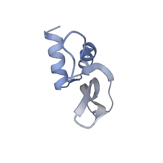 29214_8fiz_AO_v1-0
Cryo-EM structure of E. coli 70S Ribosome containing mRNA and tRNA (in the transcription-translation complex)