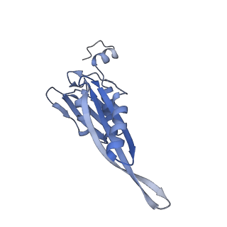 29214_8fiz_AP_v1-0
Cryo-EM structure of E. coli 70S Ribosome containing mRNA and tRNA (in the transcription-translation complex)
