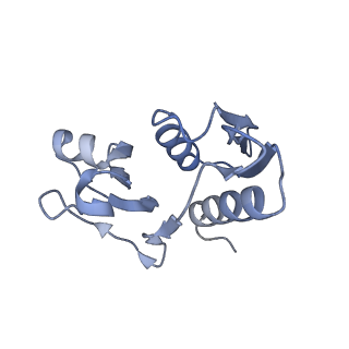 29214_8fiz_AQ_v1-0
Cryo-EM structure of E. coli 70S Ribosome containing mRNA and tRNA (in the transcription-translation complex)