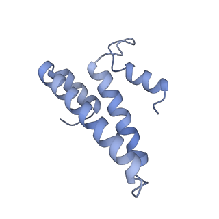 29214_8fiz_AR_v1-0
Cryo-EM structure of E. coli 70S Ribosome containing mRNA and tRNA (in the transcription-translation complex)