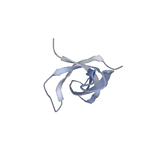 29214_8fiz_AS_v1-0
Cryo-EM structure of E. coli 70S Ribosome containing mRNA and tRNA (in the transcription-translation complex)