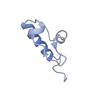 29214_8fiz_AT_v1-0
Cryo-EM structure of E. coli 70S Ribosome containing mRNA and tRNA (in the transcription-translation complex)