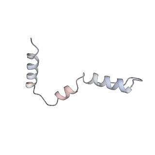 29214_8fiz_AU_v1-0
Cryo-EM structure of E. coli 70S Ribosome containing mRNA and tRNA (in the transcription-translation complex)