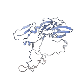 29214_8fiz_BD_v1-0
Cryo-EM structure of E. coli 70S Ribosome containing mRNA and tRNA (in the transcription-translation complex)