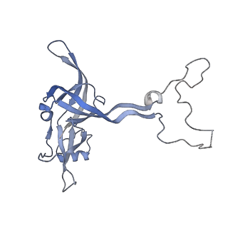 29214_8fiz_BE_v1-0
Cryo-EM structure of E. coli 70S Ribosome containing mRNA and tRNA (in the transcription-translation complex)