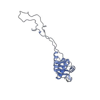 29214_8fiz_BF_v1-0
Cryo-EM structure of E. coli 70S Ribosome containing mRNA and tRNA (in the transcription-translation complex)