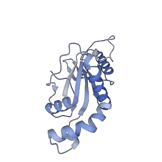 29214_8fiz_BG_v1-0
Cryo-EM structure of E. coli 70S Ribosome containing mRNA and tRNA (in the transcription-translation complex)
