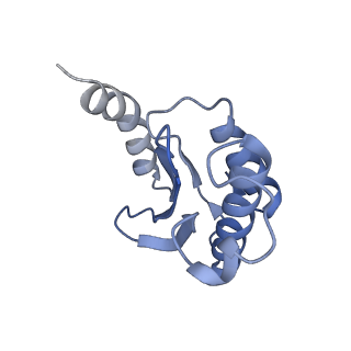 29214_8fiz_BH_v1-0
Cryo-EM structure of E. coli 70S Ribosome containing mRNA and tRNA (in the transcription-translation complex)