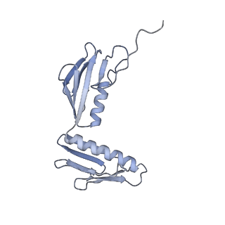 29214_8fiz_BJ_v1-0
Cryo-EM structure of E. coli 70S Ribosome containing mRNA and tRNA (in the transcription-translation complex)
