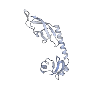 29214_8fiz_BK_v1-0
Cryo-EM structure of E. coli 70S Ribosome containing mRNA and tRNA (in the transcription-translation complex)