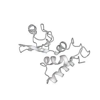 29214_8fiz_BL_v1-0
Cryo-EM structure of E. coli 70S Ribosome containing mRNA and tRNA (in the transcription-translation complex)