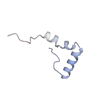 29214_8fiz_BN_v1-0
Cryo-EM structure of E. coli 70S Ribosome containing mRNA and tRNA (in the transcription-translation complex)
