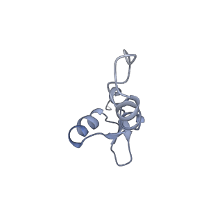 29214_8fiz_BO_v1-0
Cryo-EM structure of E. coli 70S Ribosome containing mRNA and tRNA (in the transcription-translation complex)