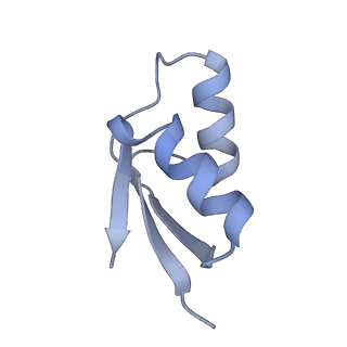 29214_8fiz_BQ_v1-0
Cryo-EM structure of E. coli 70S Ribosome containing mRNA and tRNA (in the transcription-translation complex)