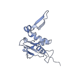 29214_8fiz_BR_v1-0
Cryo-EM structure of E. coli 70S Ribosome containing mRNA and tRNA (in the transcription-translation complex)