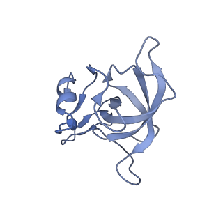29214_8fiz_BS_v1-0
Cryo-EM structure of E. coli 70S Ribosome containing mRNA and tRNA (in the transcription-translation complex)