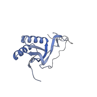 29214_8fiz_BU_v1-0
Cryo-EM structure of E. coli 70S Ribosome containing mRNA and tRNA (in the transcription-translation complex)