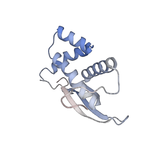 29214_8fiz_BV_v1-0
Cryo-EM structure of E. coli 70S Ribosome containing mRNA and tRNA (in the transcription-translation complex)
