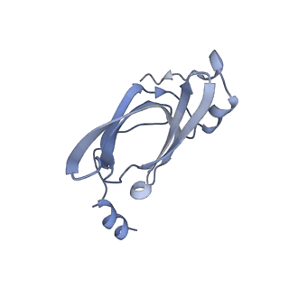 29214_8fiz_BW_v1-0
Cryo-EM structure of E. coli 70S Ribosome containing mRNA and tRNA (in the transcription-translation complex)