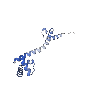 29214_8fiz_BX_v1-0
Cryo-EM structure of E. coli 70S Ribosome containing mRNA and tRNA (in the transcription-translation complex)